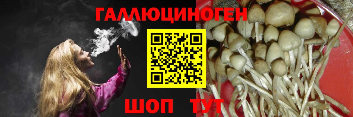 Галлюциногенные грибы Psilocybine cubensis  Галлюциногенные грибы GOLDEN TEACHER  где купить наркоту  Вход с VPN  Семёнов 